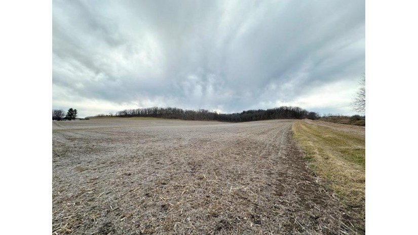 73 +/- ACRES Hidden Springs Lane Eagle, WI 53573 by Weiss Realty Llc $695,000