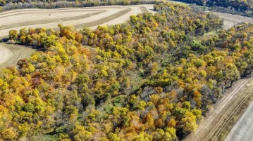 +/- 55 ACRES Porter Hill Road, Beetown, WI 53813