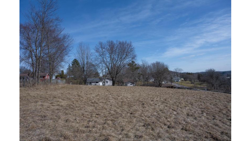 2.02 ACRES W Elroy Street Elroy, WI 53929 by Castle Rock Realty Llc - Pref: 608-547-6885 $10,000