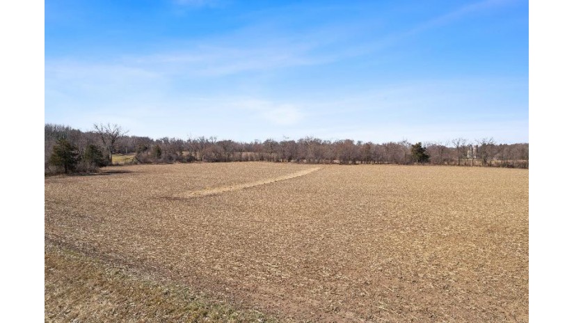 15.25 ACRES County Road U/Gillem Road Fairfield, WI 53913 by Restaino & Associates Era Powered - Pref: 608-577-2245 $200,000