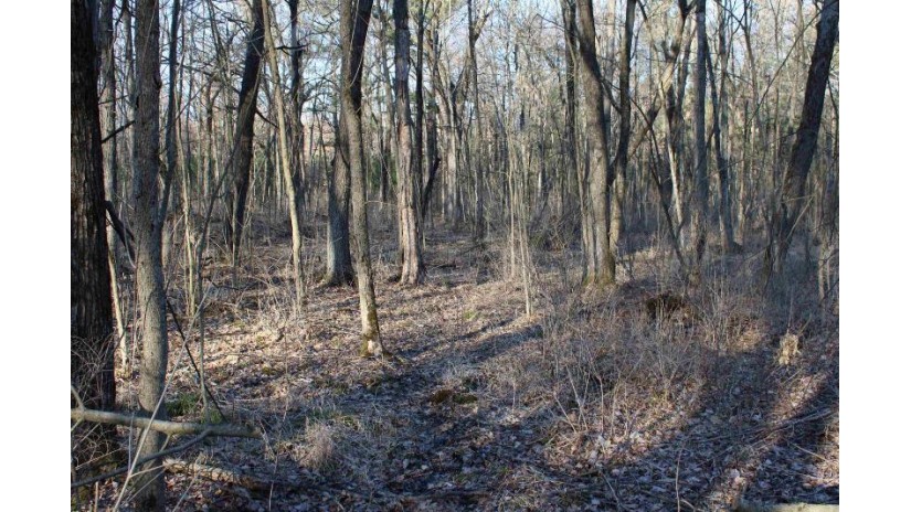 131.26AC County Road Cm Tomah, WI 54660 by Midwest Land Group Llc $431,800