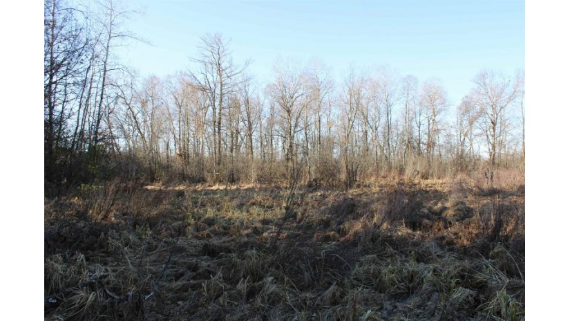 131.26AC County Road Cm Tomah, WI 54660 by Midwest Land Group Llc $431,800