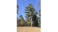 LOT 46 18th Monroe, WI 54613 by Advantage Realty, Llc $65,000