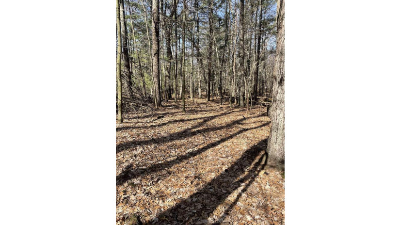 LOT 46 18th Monroe, WI 54613 by Advantage Realty, Llc $65,000