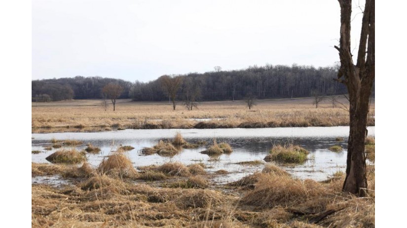 76.46 AC County Road M Wiota, WI 53504 by Midwest Land Group Llc $210,265