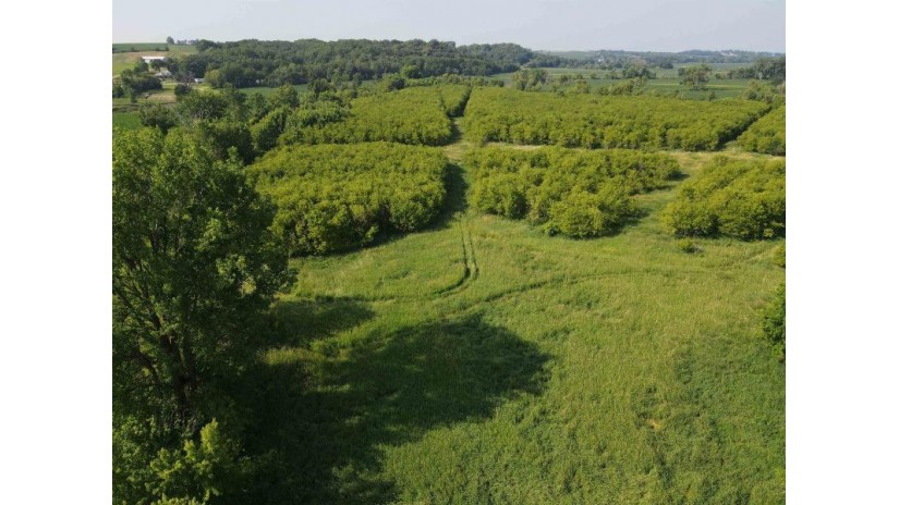 139.57 AC County Road M Wayne, WI 53522 by Midwest Land Group Llc $397,775