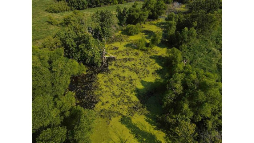 139.57 AC County Road M Wayne, WI 53522 by Midwest Land Group Llc $397,775