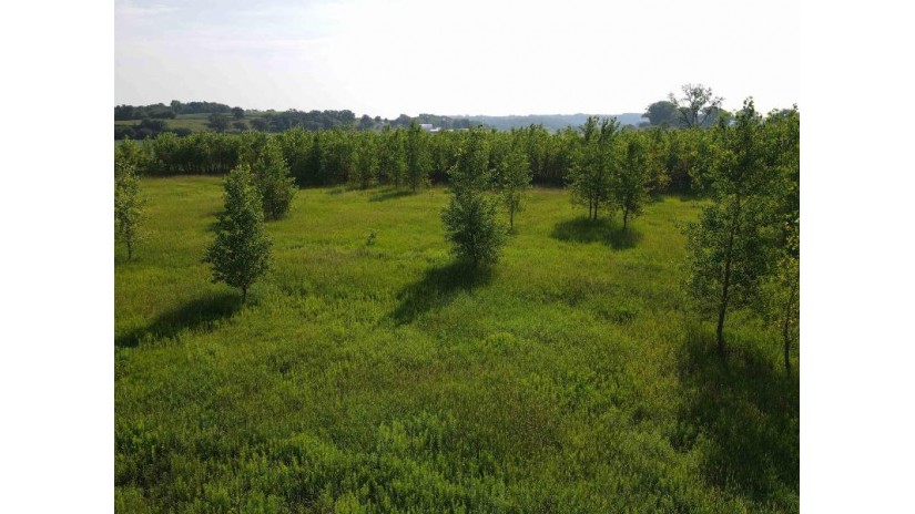 139.57 AC County Road M Wayne, WI 53522 by Midwest Land Group Llc $397,775