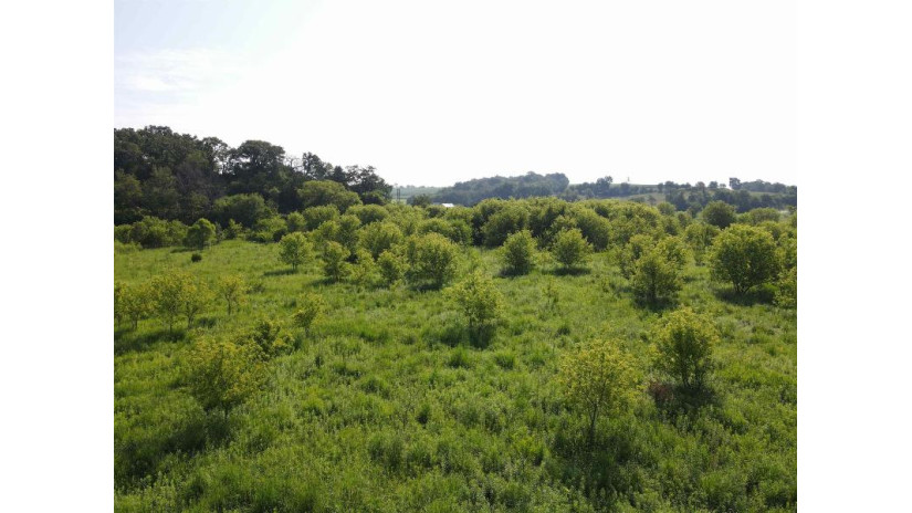 139.57 AC County Road M Wayne, WI 53522 by Midwest Land Group Llc $397,775