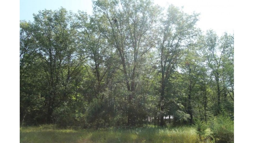 LOT 53 Tomahawk Trail Mecan, WI 53949 by First Weber Inc - HomeInfo@firstweber.com $10,000