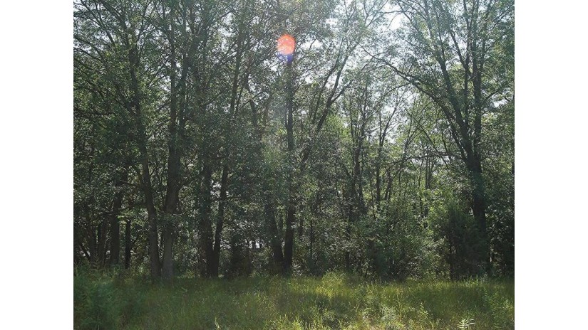 LOT 53 Tomahawk Trail Mecan, WI 53949 by First Weber Inc - HomeInfo@firstweber.com $10,000