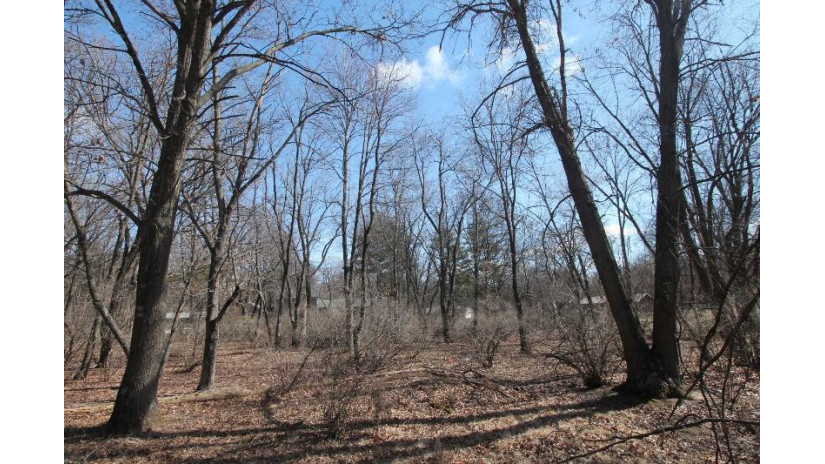 LOT 53 Tomahawk Trail Mecan, WI 53949 by First Weber Inc - HomeInfo@firstweber.com $10,000