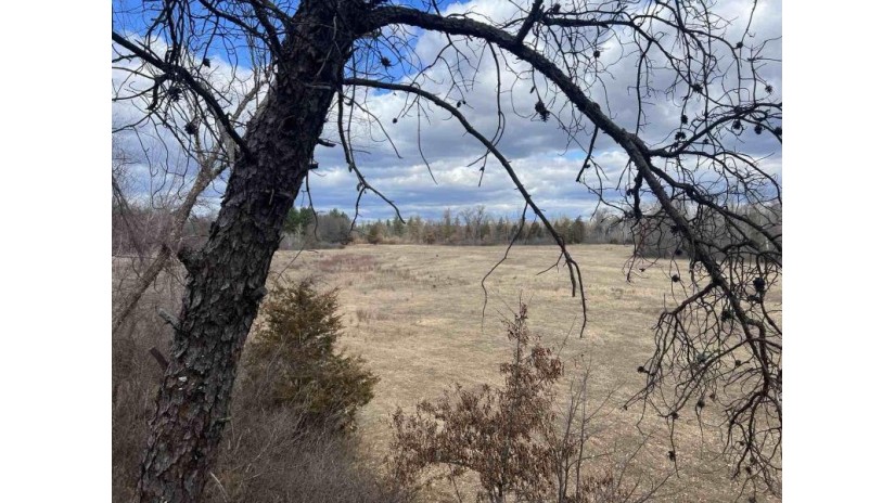 77 ACRES County Road Hh Marion, WI 53948 by Pavelec Realty - Off: 608-339-3388 $459,900