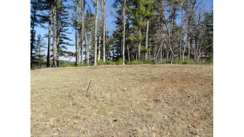 LOT 63 Fly Rod Trail Saratoga, WI 54494 by Re/Max Preferred - Pref: 608-617-2727 $91,900