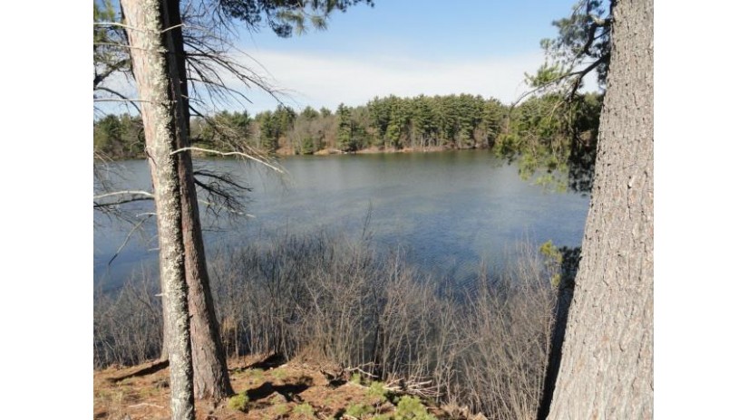 LOT 63 Fly Rod Trail Saratoga, WI 54494 by Re/Max Preferred - Pref: 608-617-2727 $91,900