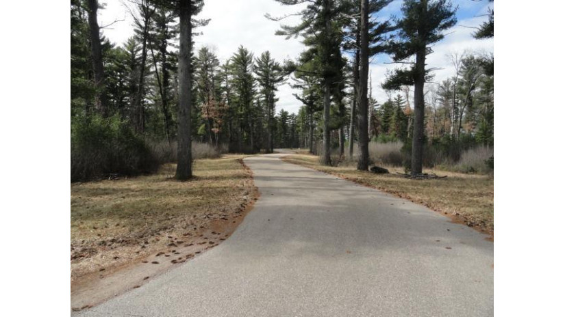 LOT 63 Fly Rod Trail Saratoga, WI 54494 by Re/Max Preferred - Pref: 608-617-2727 $91,900