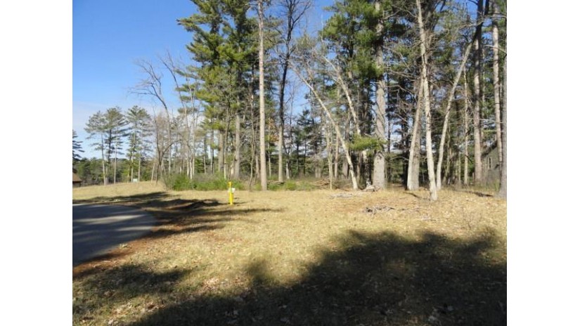 LOT 63 Fly Rod Trail Saratoga, WI 54494 by Re/Max Preferred - Pref: 608-617-2727 $91,900