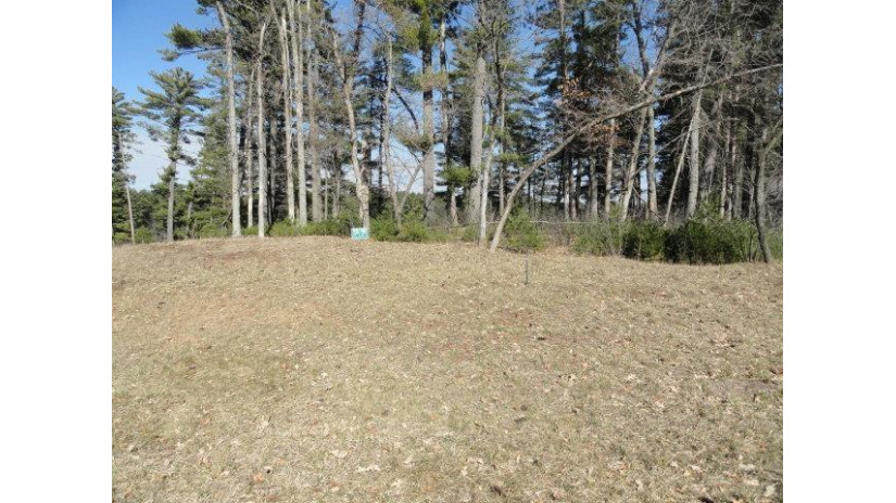 LOT 63 Fly Rod Trail Saratoga, WI 54494 by Re/Max Preferred - Pref: 608-617-2727 $91,900