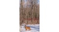 LOT I Deer Run Packwaukee, WI 53949 by First Weber Inc - HomeInfo@firstweber.com $35,000