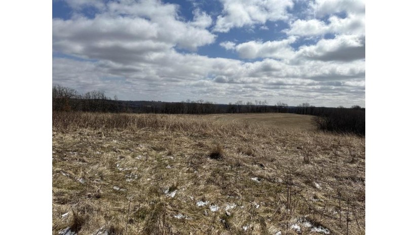 23.90AC Kerry Avenue Ridgeville, WI 54670 by First Weber Inc - HomeInfo@firstweber.com $189,900