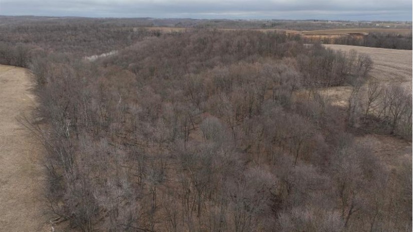 113.00AC Bugbee Hollow Road Forest, WI 54634 by United Country Midwest Lifestyle Properties $680,000