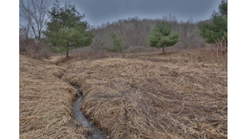 113.00AC Bugbee Hollow Road Forest, WI 54634 by United Country Midwest Lifestyle Properties $680,000