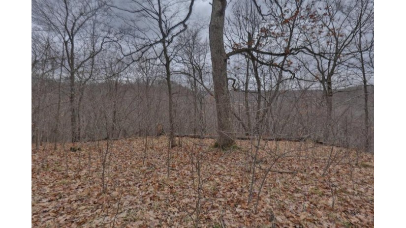 113.00AC Bugbee Hollow Road Forest, WI 54634 by United Country Midwest Lifestyle Properties $680,000