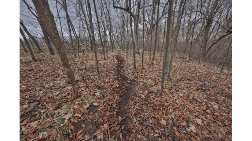 113.00AC Bugbee Hollow Road Forest, WI 54634 by United Country Midwest Lifestyle Properties $680,000