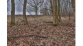 113.00AC Bugbee Hollow Road Forest, WI 54634 by United Country Midwest Lifestyle Properties $680,000