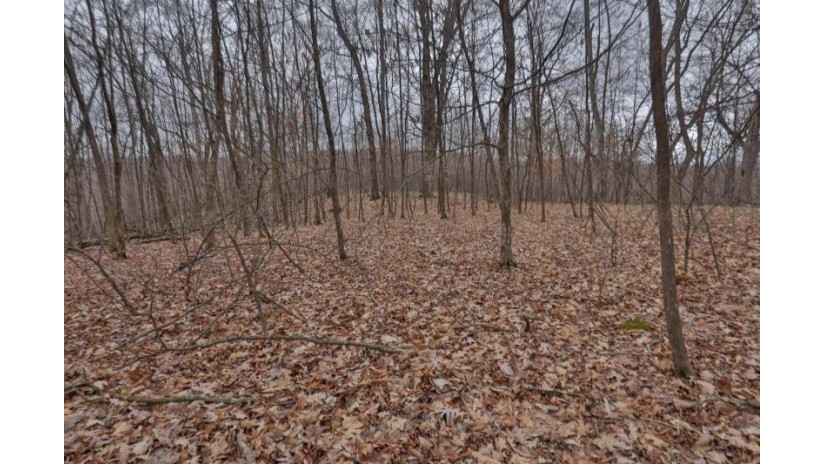 113.00AC Bugbee Hollow Road Forest, WI 54634 by United Country Midwest Lifestyle Properties $680,000