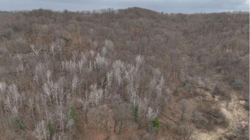 113.00AC Bugbee Hollow Road Forest, WI 54634 by United Country Midwest Lifestyle Properties $680,000