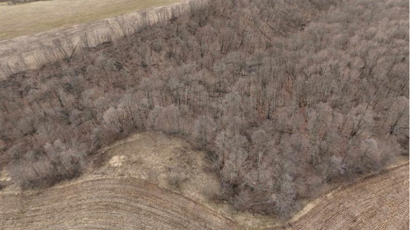 113.00AC Bugbee Hollow Road Forest, WI 54634 by United Country Midwest Lifestyle Properties $680,000