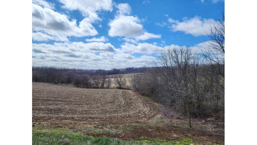 27758 Pleasant Ridge Road Marietta, WI 53826 by Adams Auction And Real Estate $1,125,000