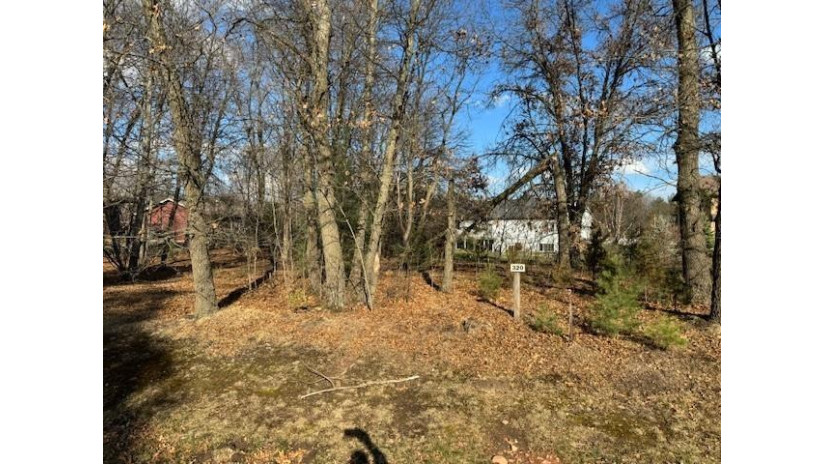 320 Oakbrook Drive Lake Delton, WI 53965 by Cold Water Realty $44,000