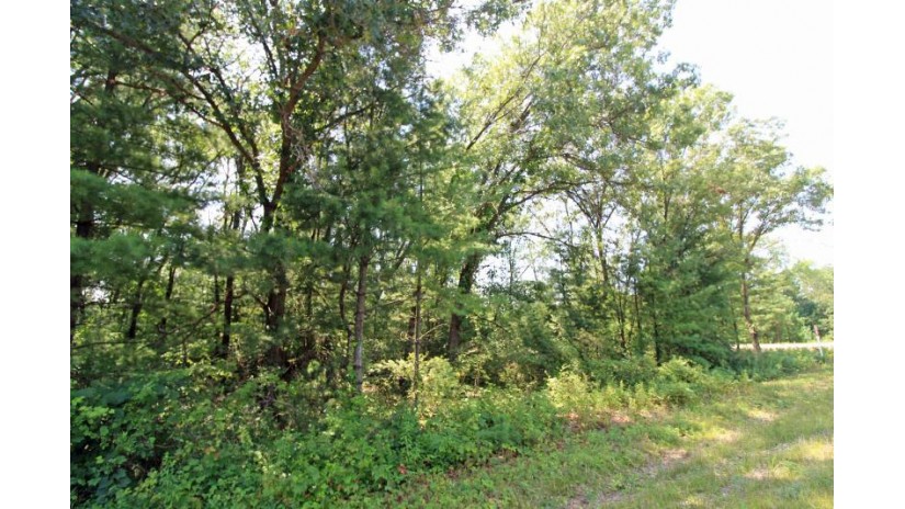 LOT14 Timber Trail Spring Green, WI 53588 by Century 21 Affiliated - Pref: 608-574-2092 $52,500