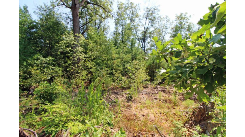 LOT14 Timber Trail Spring Green, WI 53588 by Century 21 Affiliated - Pref: 608-574-2092 $52,500