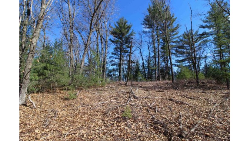 LOT14 Timber Trail Spring Green, WI 53588 by Century 21 Affiliated - Pref: 608-574-2092 $52,500