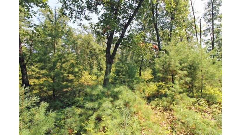 LOT14 Timber Trail Spring Green, WI 53588 by Century 21 Affiliated - Pref: 608-574-2092 $52,500