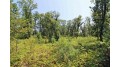 LOT14 Timber Trail Spring Green, WI 53588 by Century 21 Affiliated - Pref: 608-574-2092 $52,500