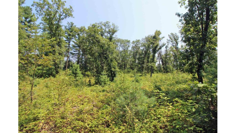 LOT14 Timber Trail Spring Green, WI 53588 by Century 21 Affiliated - Pref: 608-574-2092 $52,500