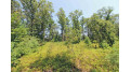 LOT14 Timber Trail Spring Green, WI 53588 by Century 21 Affiliated - Pref: 608-574-2092 $52,500