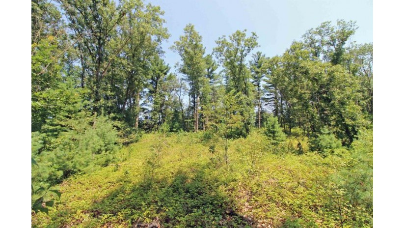 LOT14 Timber Trail Spring Green, WI 53588 by Century 21 Affiliated - Pref: 608-574-2092 $52,500