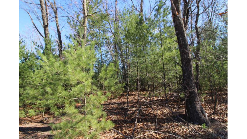 LOT14 Timber Trail Spring Green, WI 53588 by Century 21 Affiliated - Pref: 608-574-2092 $52,500