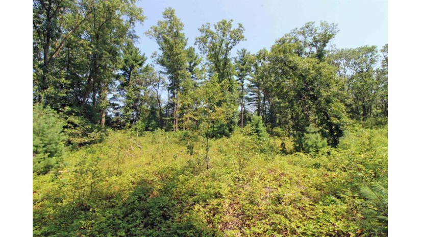 LOT14 Timber Trail Spring Green, WI 53588 by Century 21 Affiliated - Pref: 608-574-2092 $52,500