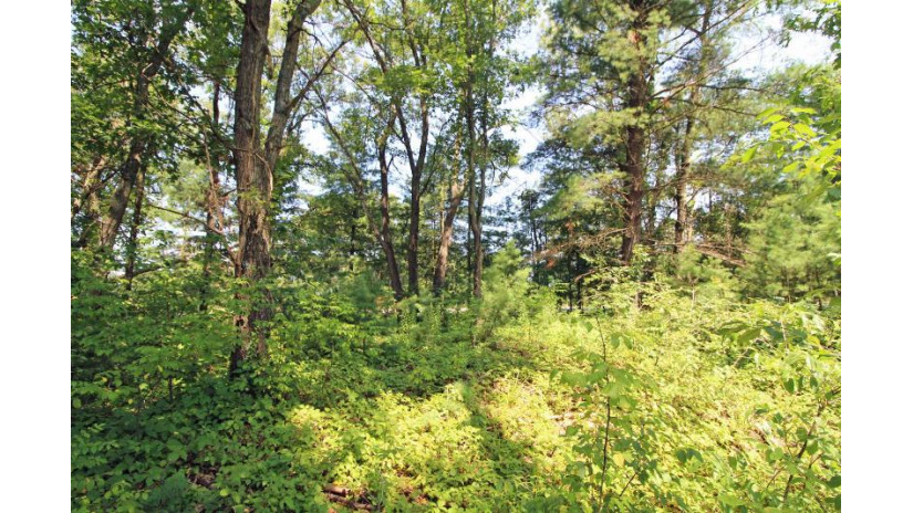 LOT14 Timber Trail Spring Green, WI 53588 by Century 21 Affiliated - Pref: 608-574-2092 $52,500