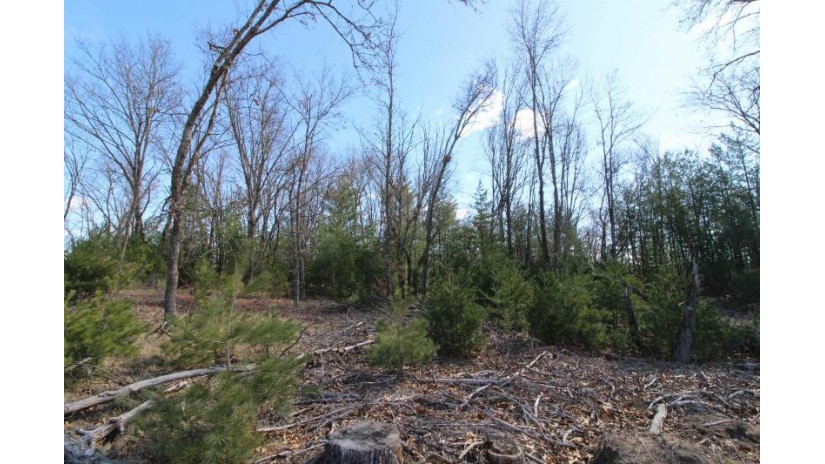 LOT14 Timber Trail Spring Green, WI 53588 by Century 21 Affiliated - Pref: 608-574-2092 $52,500