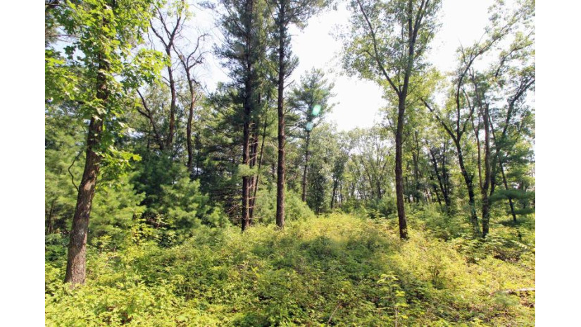 LOT14 Timber Trail Spring Green, WI 53588 by Century 21 Affiliated - Pref: 608-574-2092 $52,500