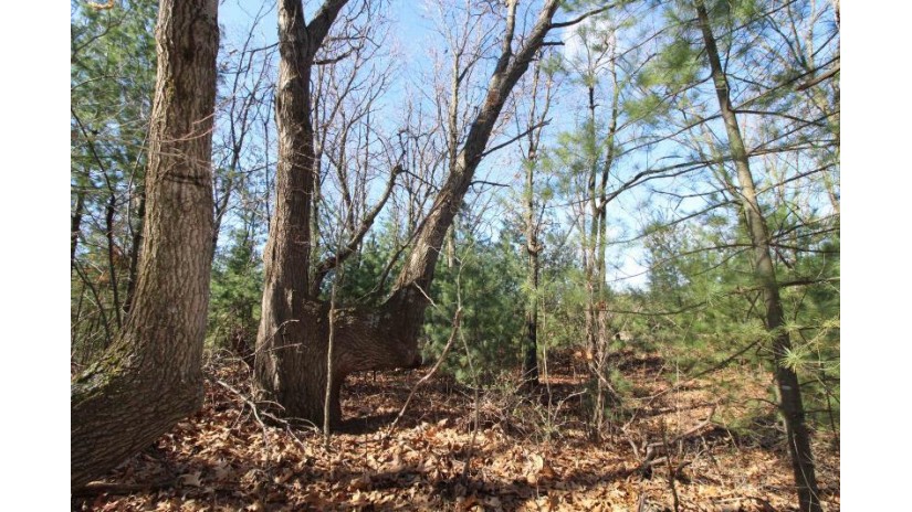 LOT14 Timber Trail Spring Green, WI 53588 by Century 21 Affiliated - Pref: 608-574-2092 $52,500