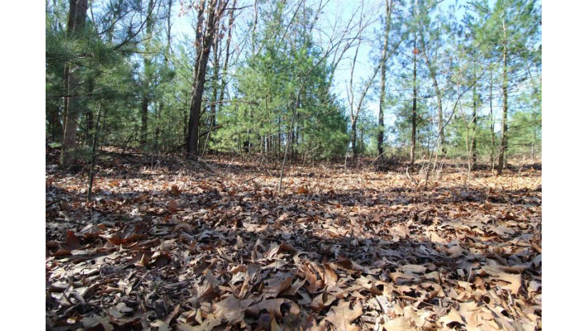 LOT14 Timber Trail Spring Green, WI 53588 by Century 21 Affiliated - Pref: 608-574-2092 $52,500