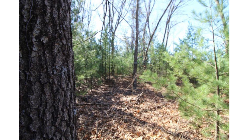 LOT14 Timber Trail Spring Green, WI 53588 by Century 21 Affiliated - Pref: 608-574-2092 $52,500